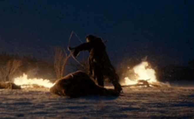The Revenant (2015)